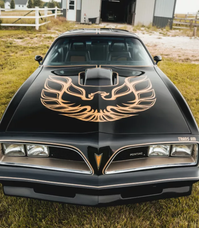 1977 Pontiac Firebird Formula