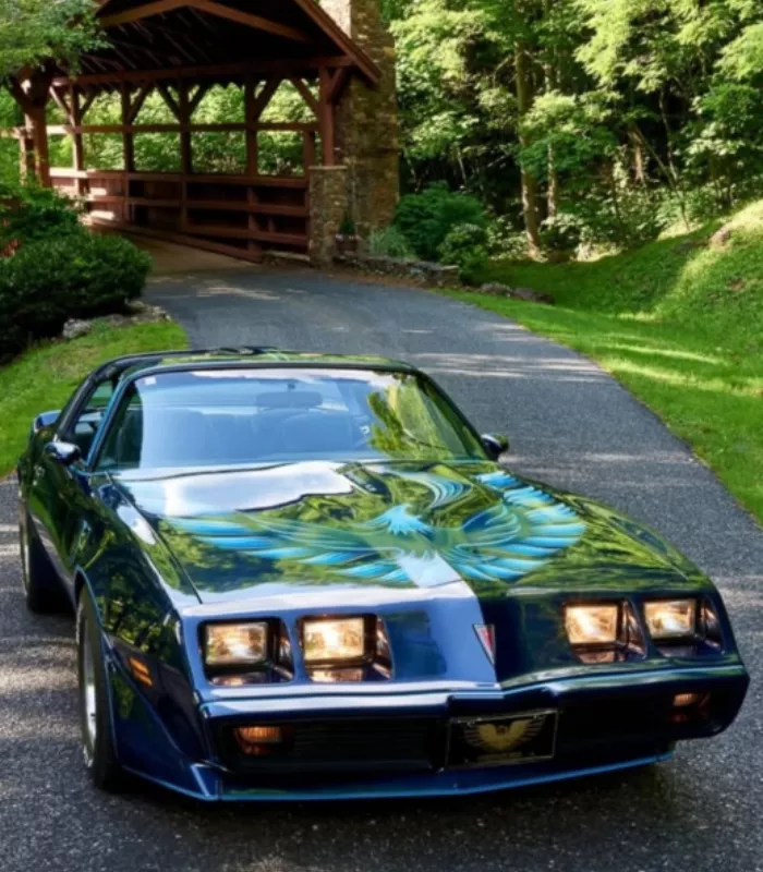 1980 Pontiac Trans Am Turbo