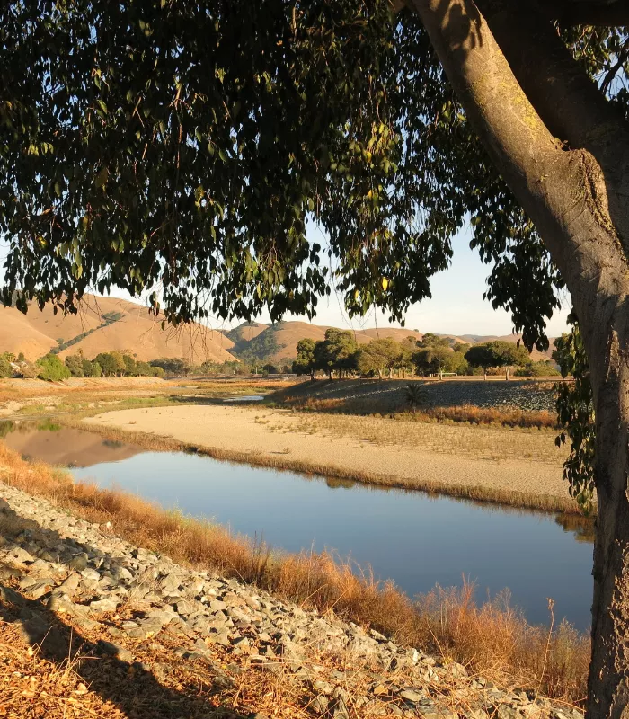 Alameda California.webp