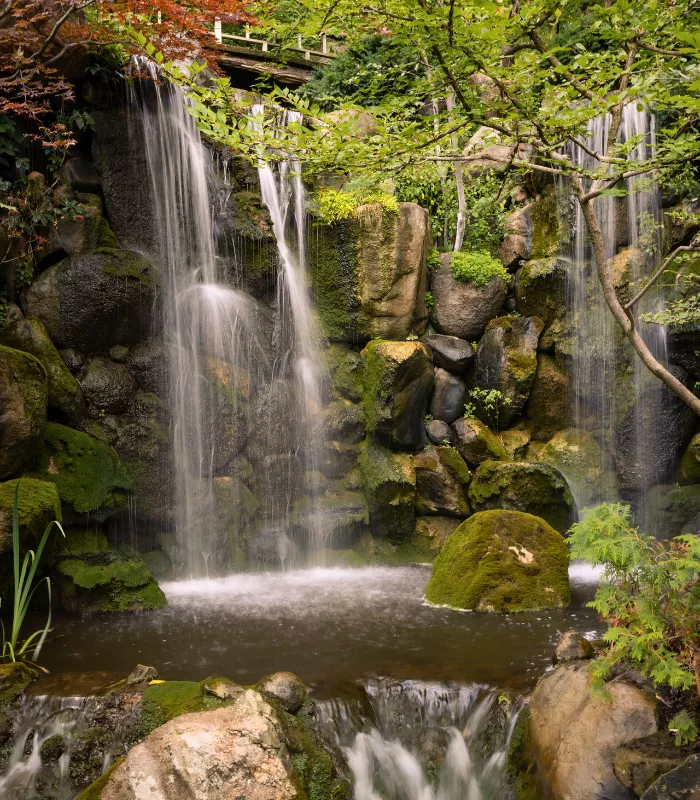 Anderson Japanese Gardens Rockford