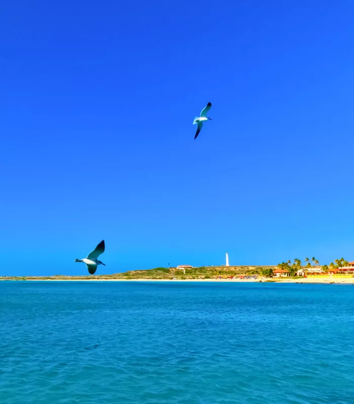 Aruba