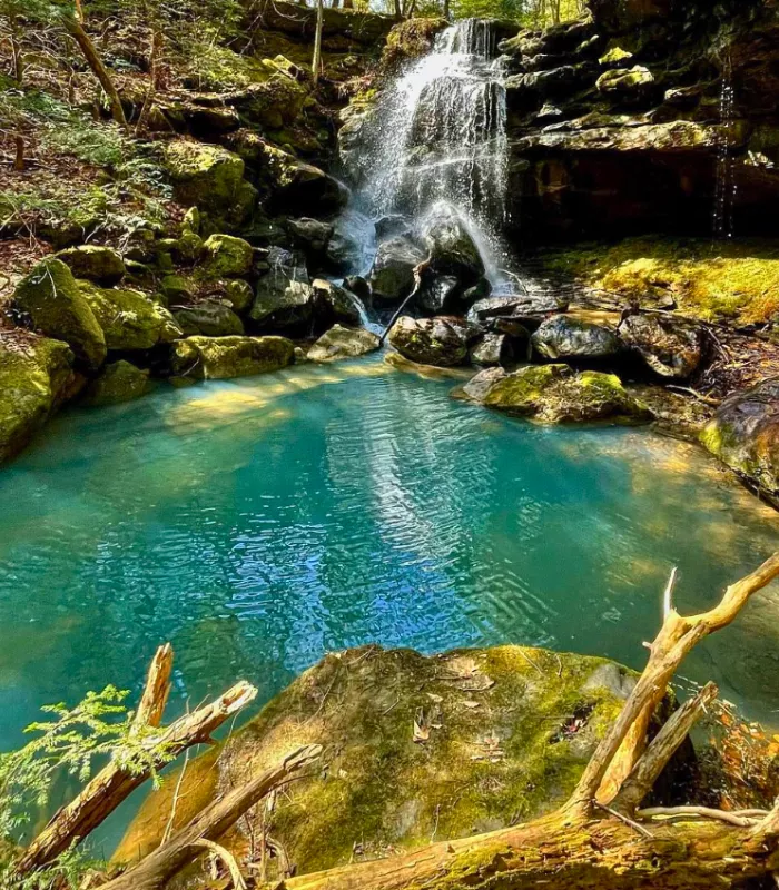 Bankhead National Forest Alabama 1