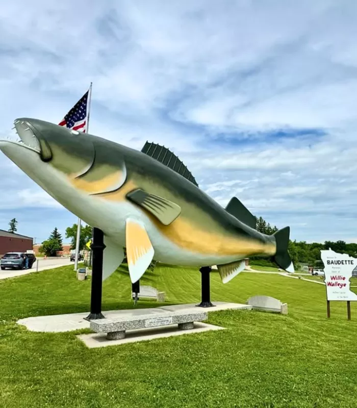 Baudette Minnesota.webp