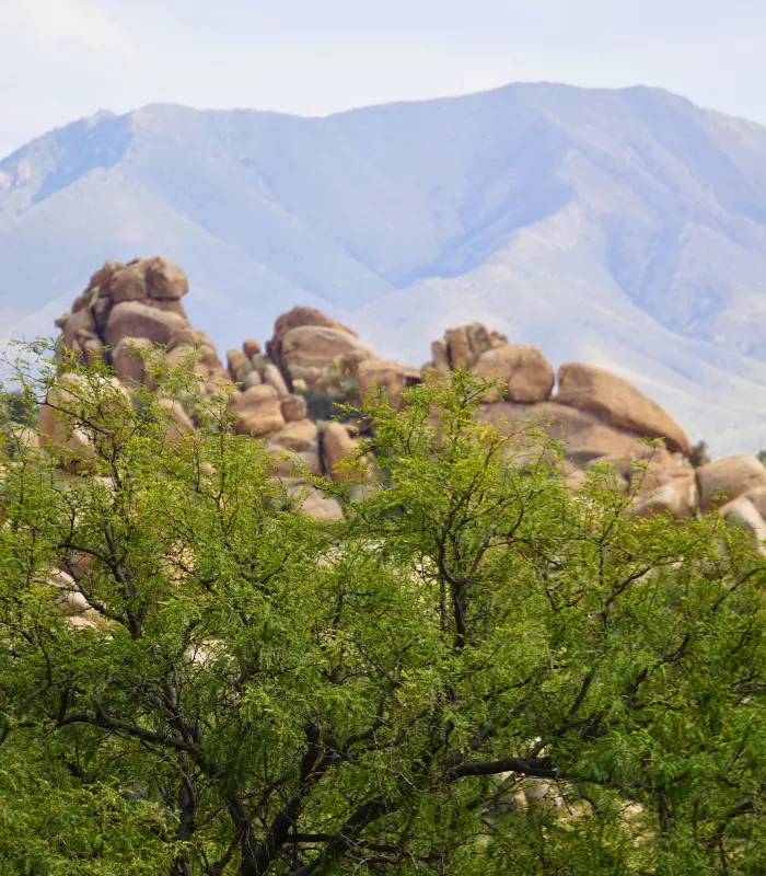 Benson Arizona.webp