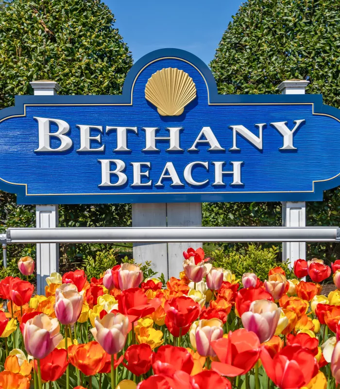 Bethany Beach Delaware.webp