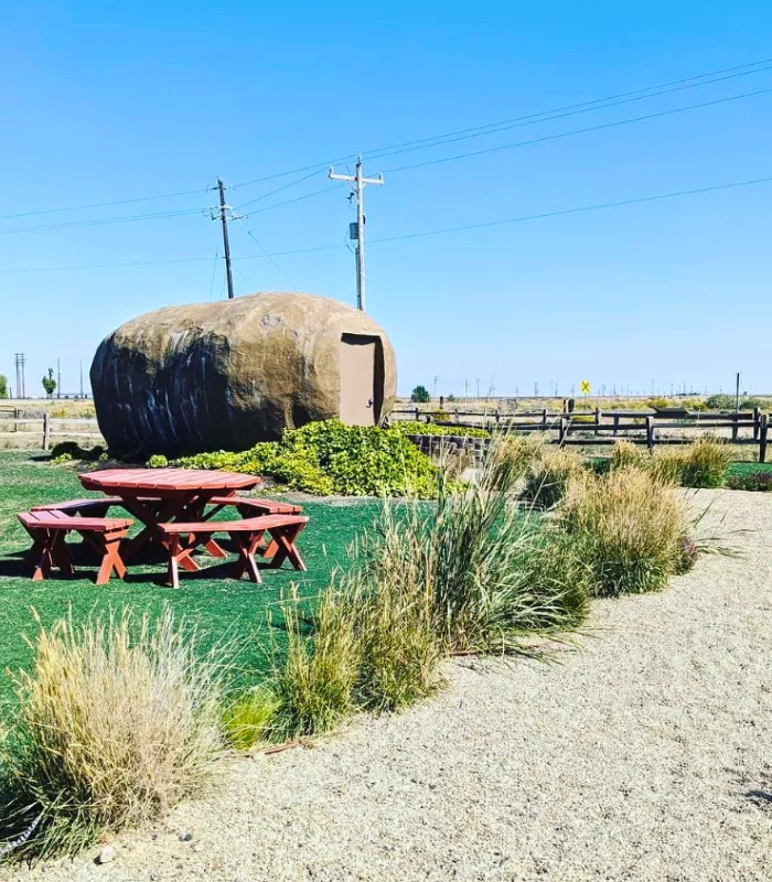 Big Idaho Potato Hotel Boise 1