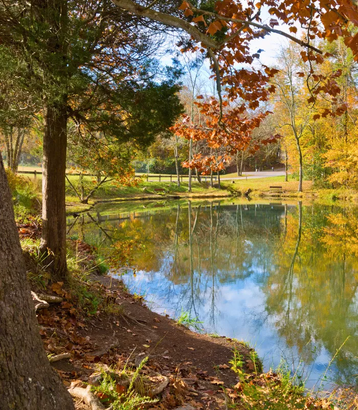 Big Ridge State Park