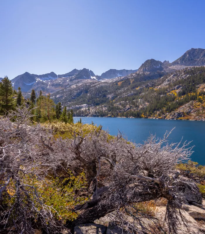 Bishop California.webp