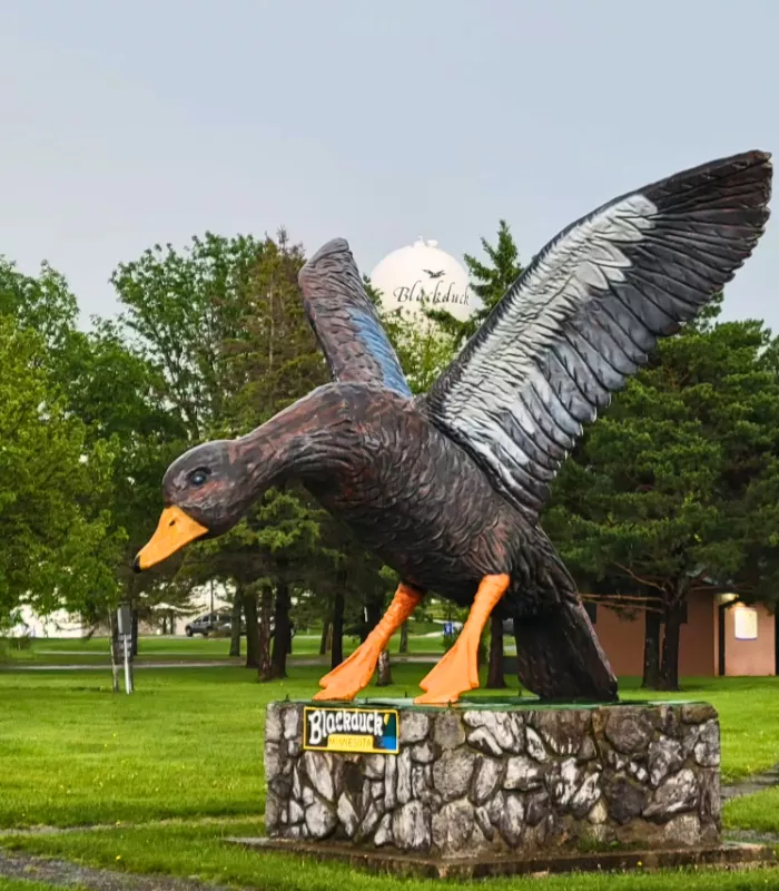 Blackduck Minnesota.webp