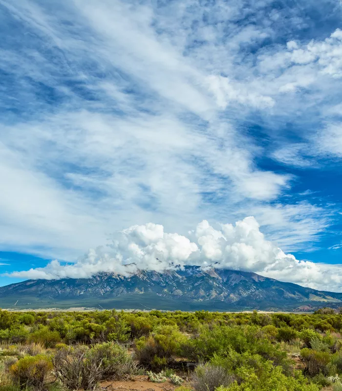 Blanca Colorado.webp