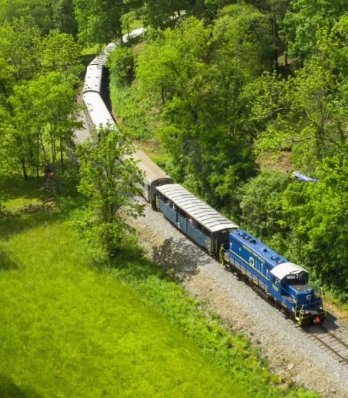Blue Ridge Scenic Railway.webp