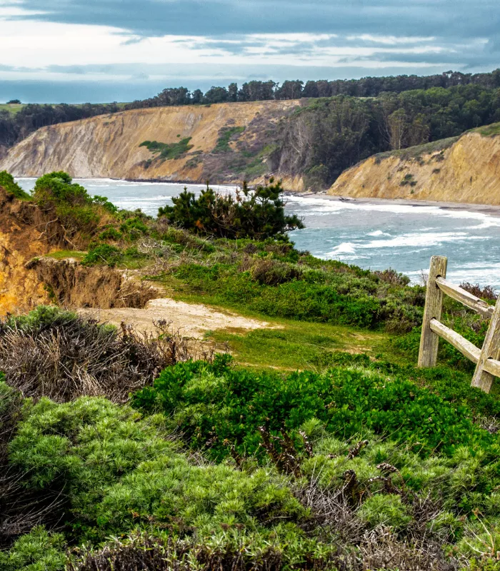 Bolinas California.webp