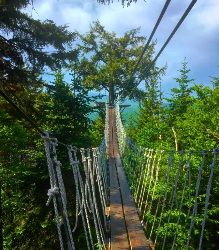 Bretton Woods Canopy Tour Bretton Woods