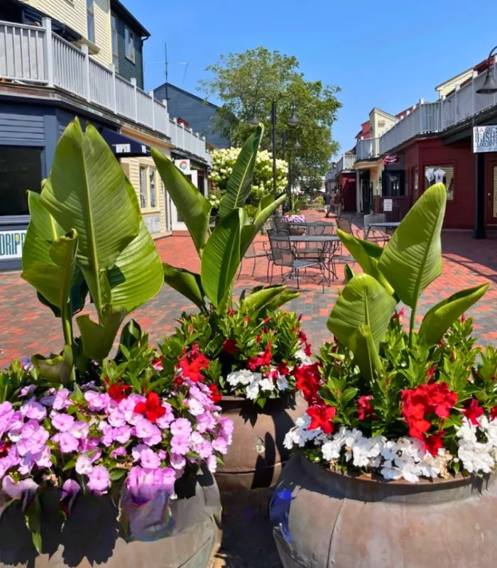 Brick Marketplace Newport Rhode Island