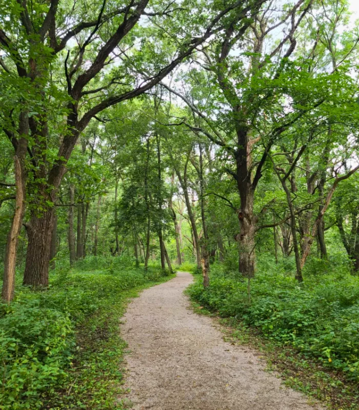 Browns Woods Trails Iowa