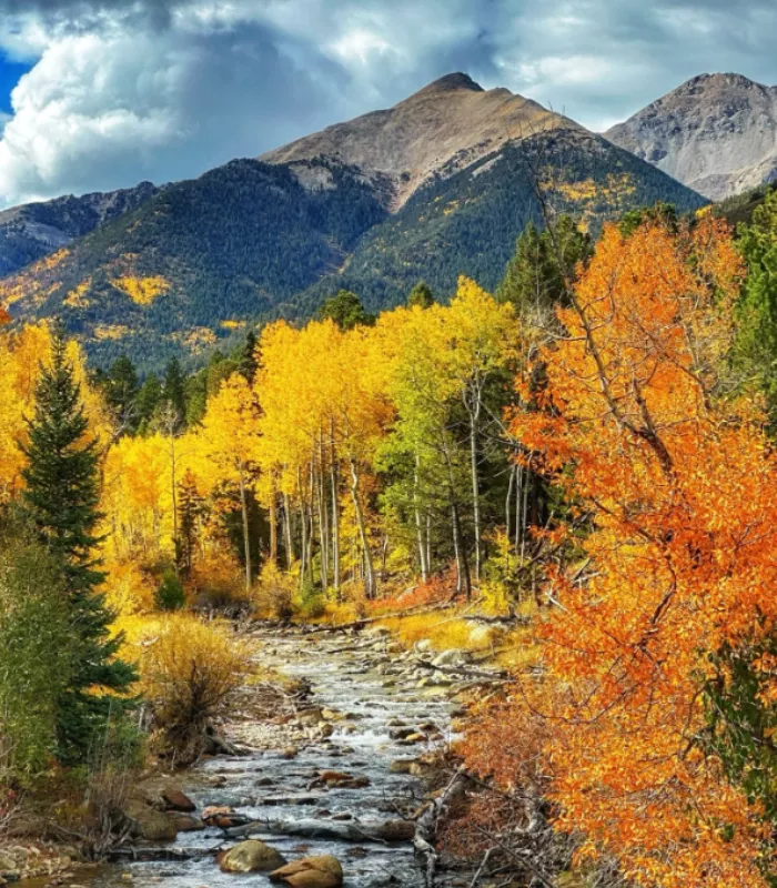 Buena Vista Colorado