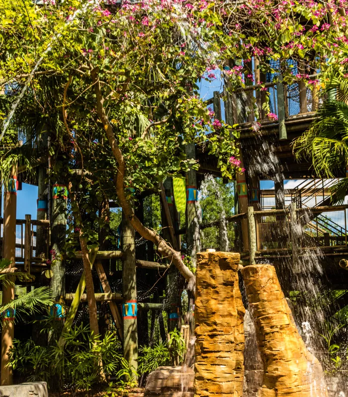 Busch Gardens Tampa Bay Florida