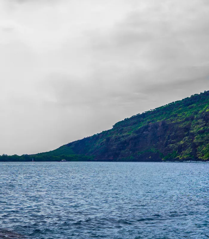 Captain Cook Hawaii.webp