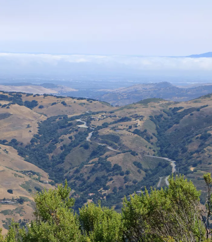 Carmel Valley California.webp