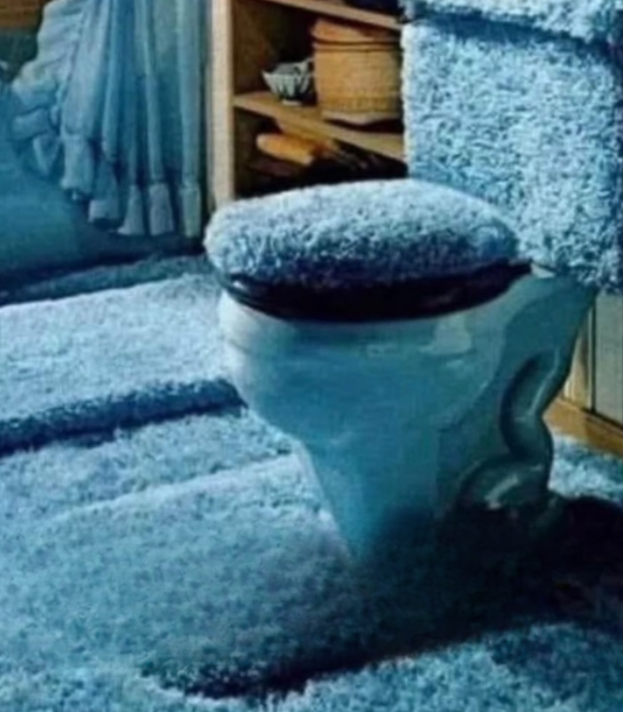 Carpet in the Bathroom