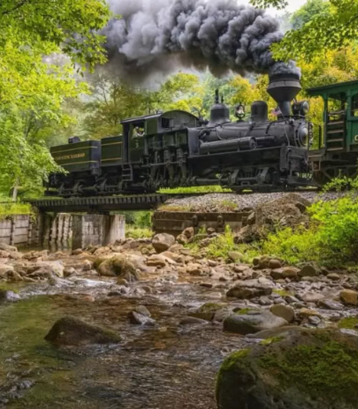 Cass Scenic Railroad.webp