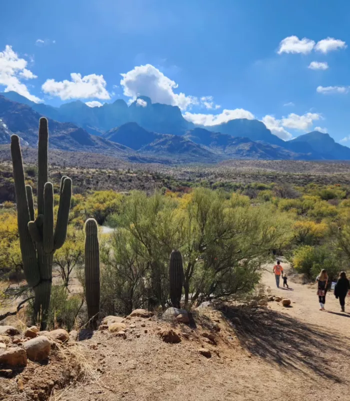 Catalina State Park Arizona