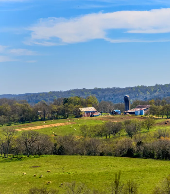 Centerville Tennessee