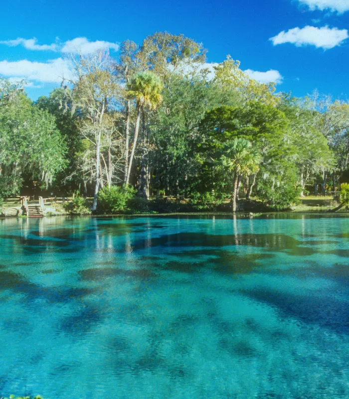 Chiefland Florida.webp