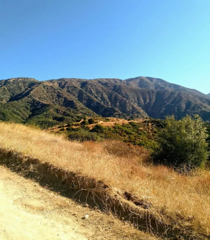 Claremont California.webp