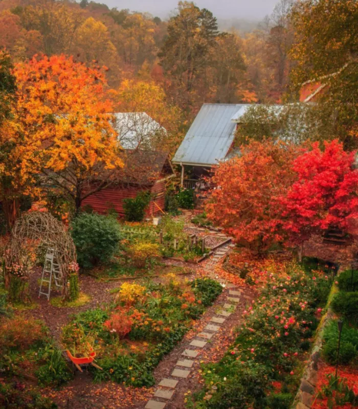 Clarkesville Georgia