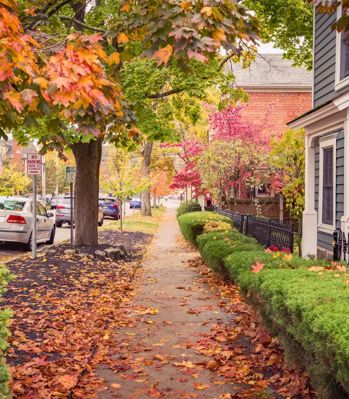 Cold Spring NY