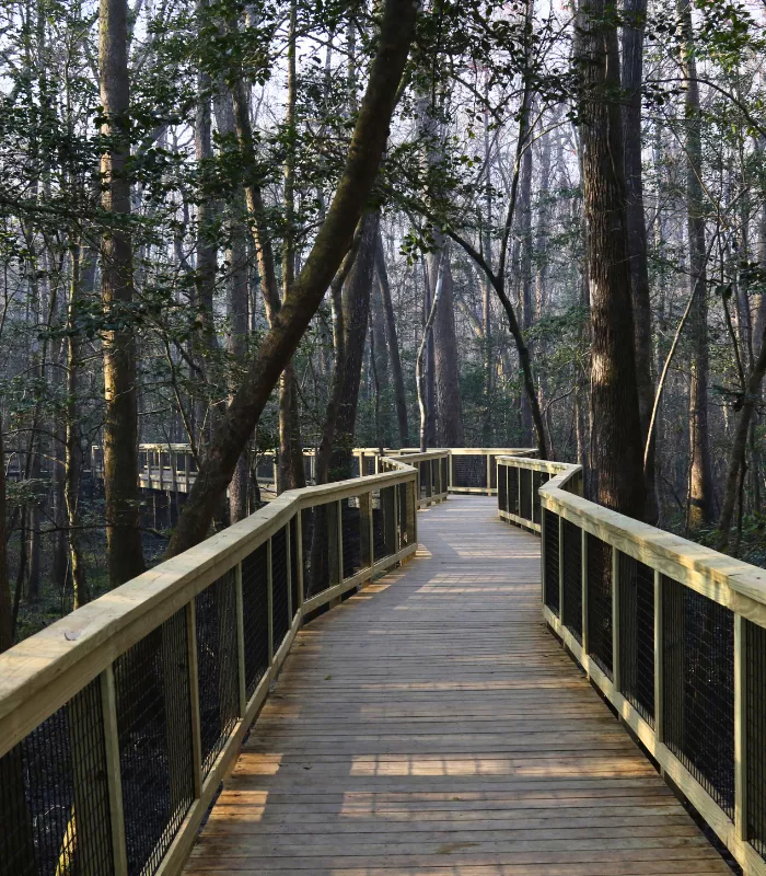 Congaree National Park South Carolina 1