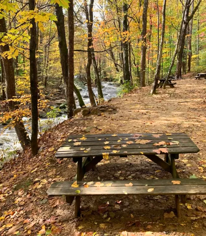 Crabtree Falls Campground