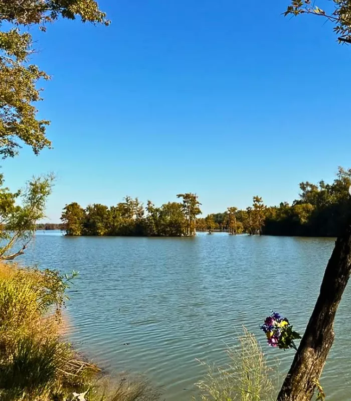 Crossett Arkansas.webp