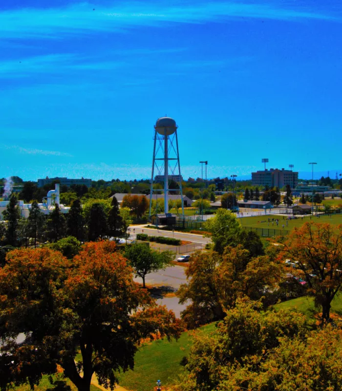 Davis California.webp
