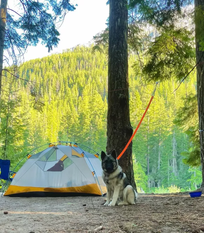 Deception Pass State Park Campground 1
