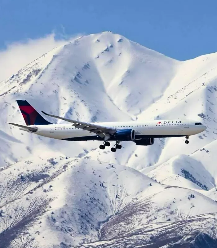 Delta Airlines