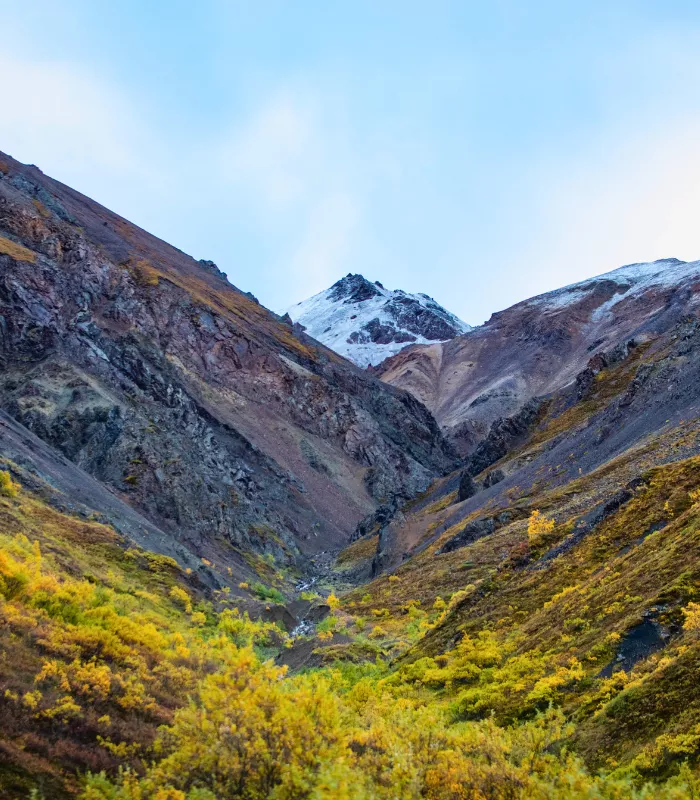 Denali National Park and Preserve Alaska