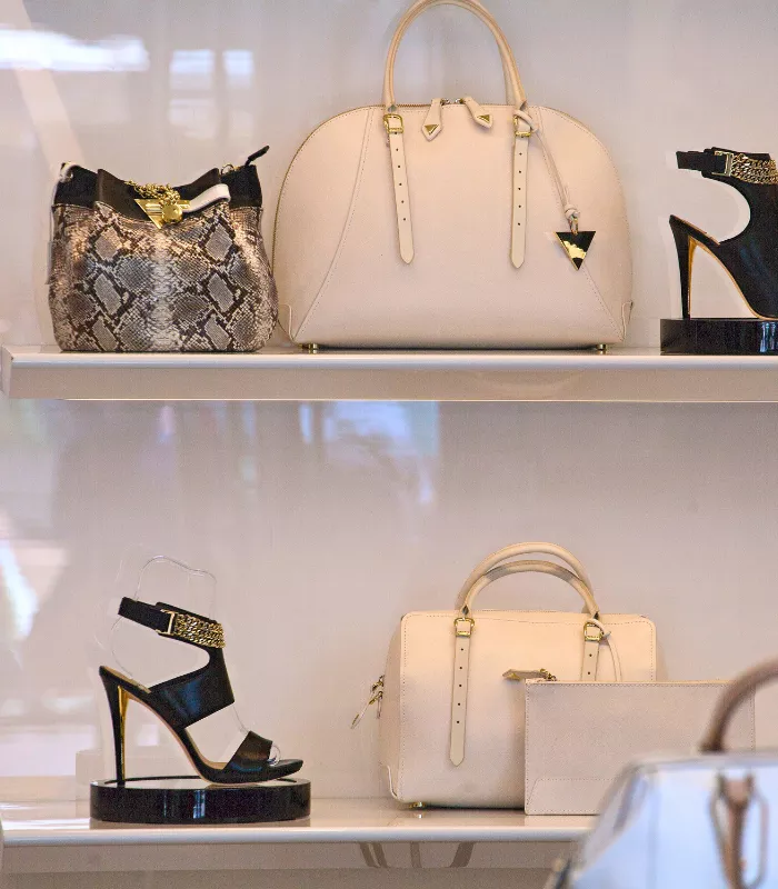 Designer Handbags and Shoes
