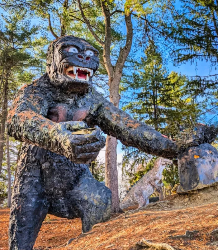 Dinosaur Land