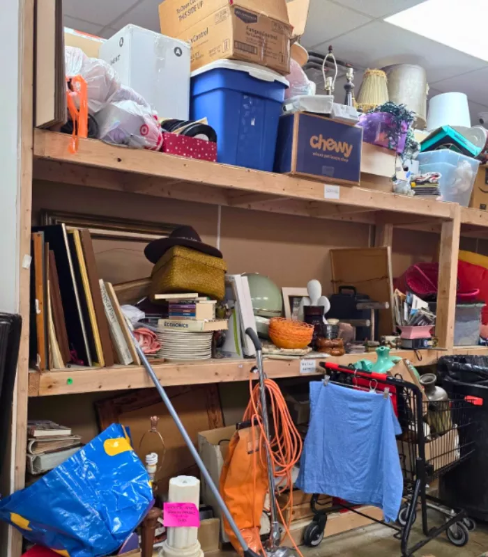 Disorganized Resale Shops