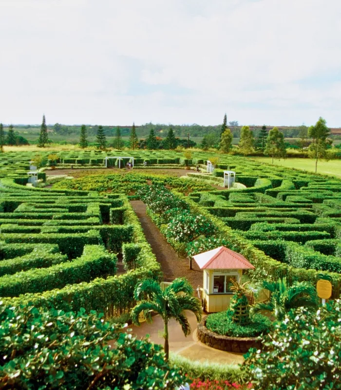 Dole Plantation Hawaii