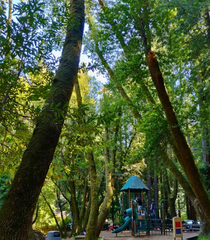Dolliver Memorial State Park Iowa