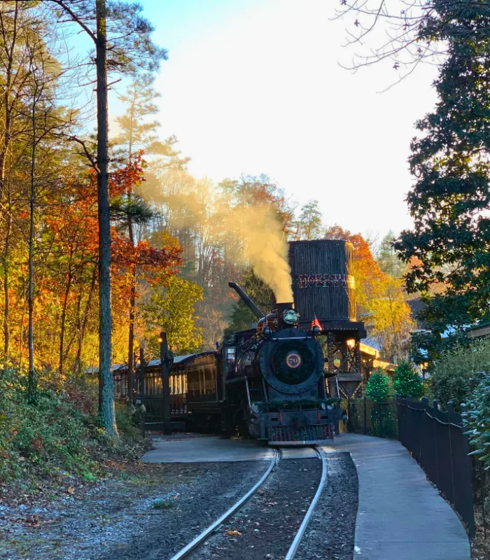 Dollywood Express Train Ride