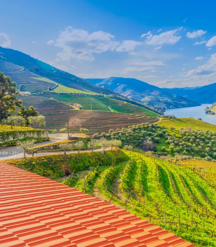 Douro Valley Organized Tours