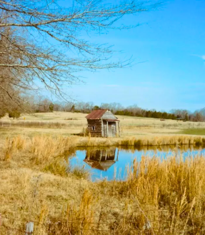 Dresden Tennessee