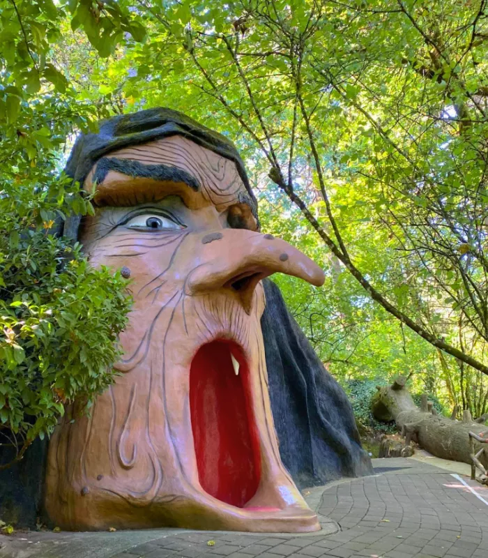 Enchanted Forest Salem