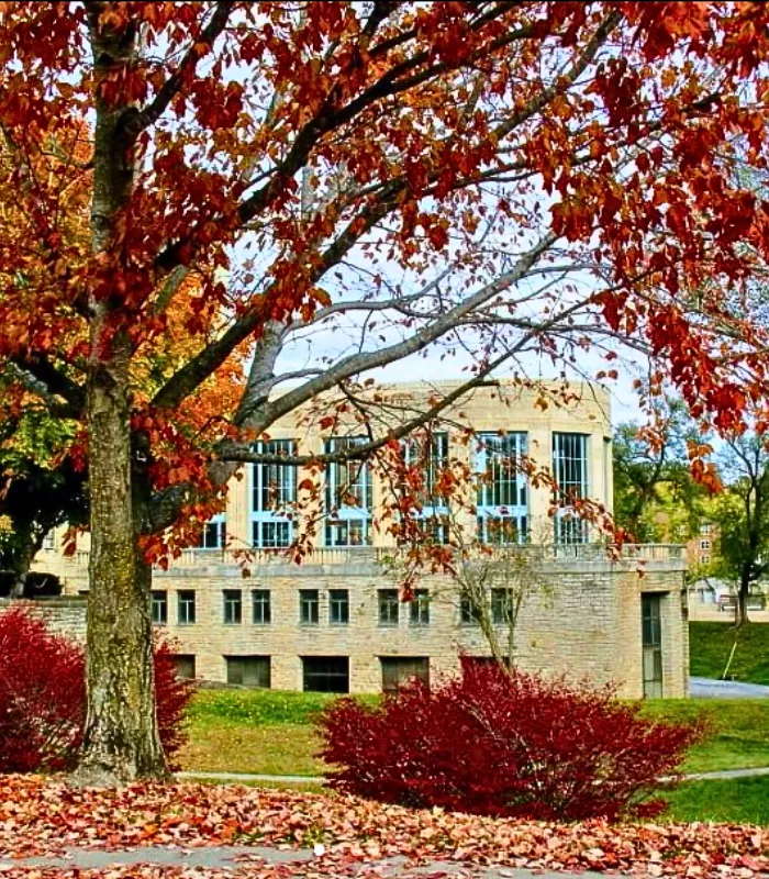 Excelsior Springs Missouri.webp