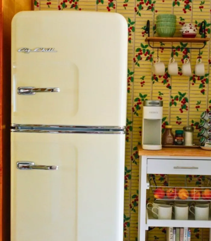 Fancy Refrigerators