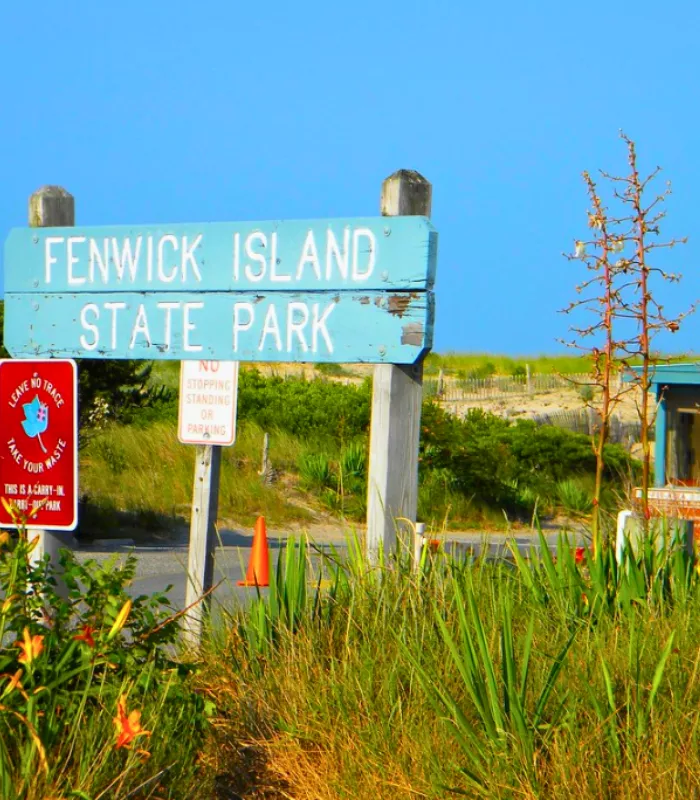 Fenwick Island State Park in Summer